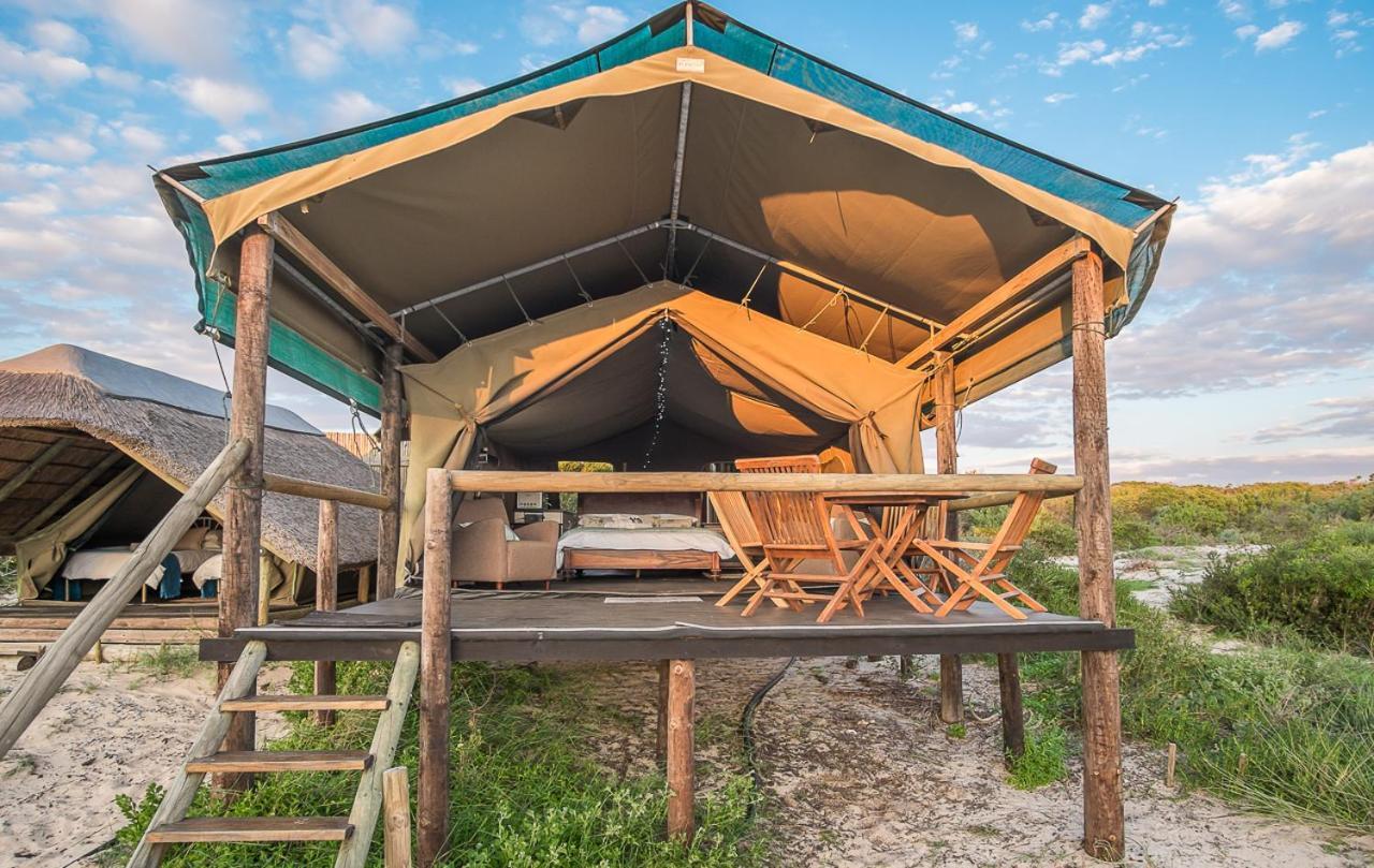 West Coast Luxury Tents Dwarskersbos Eksteriør billede